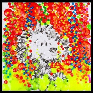 Everhart-The-Real-McCoy-Bubble-Bath-Year-13