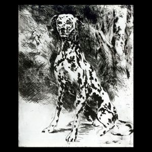 LeRoy-Neiman-Dalmation
