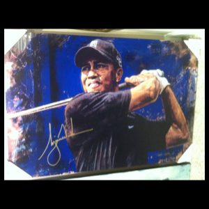 Tiger Woods - Blue Hawaii