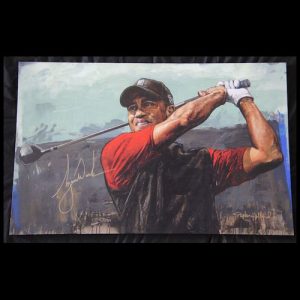 Tiger Woods - Tee Off